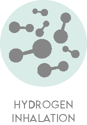 Hydrogen Inhalation circle icon