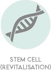 Stem Cell circle icon